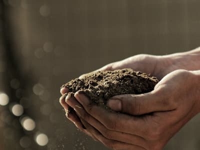 Sustainable Sourcing